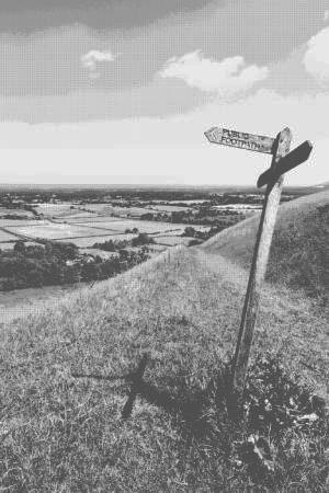 Looking towards the site of Perching Manor House