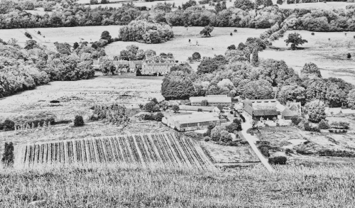 Wolstonbury Farm